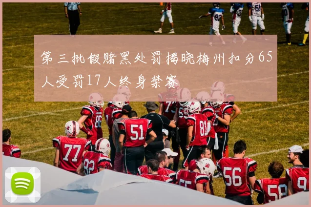 第三批假赌黑处罚揭晓梅州扣分65人受罚17人终身禁赛